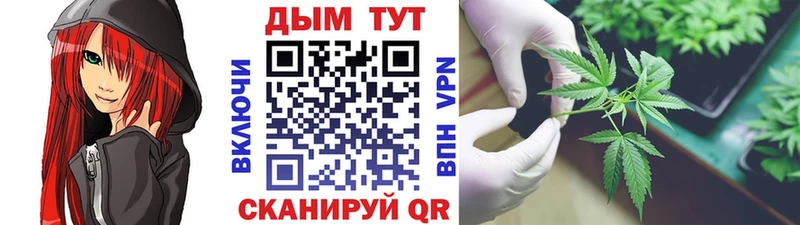 Названия наркотиков Нолинск Гашиш  mega ССЫЛКА  Меф мяу мяу  Бошки Шишки  Альфа ПВП 