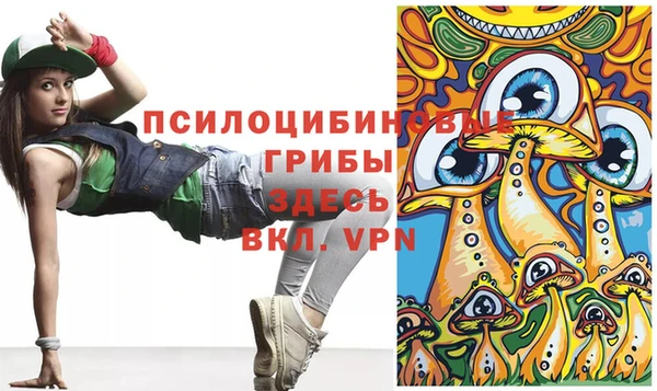 apvp Нязепетровск
