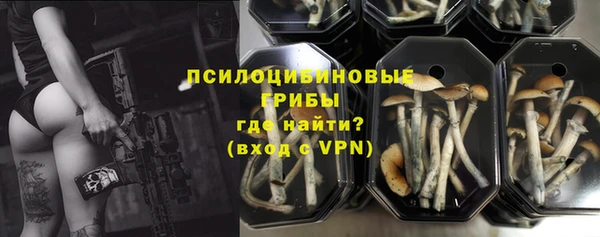 твердый Нягань