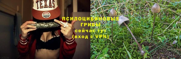 твердый Нягань
